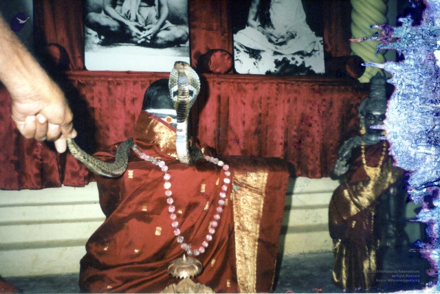 2001 - Tiruchengode Snake and Linga7.jpg