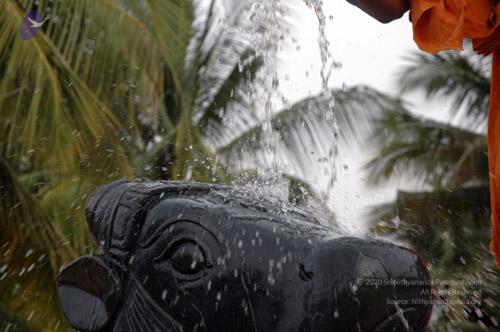 20071008 Photo 1001 1UtUSKWQMW9W10rmJNQLgldRbAFNGirqC.JPG