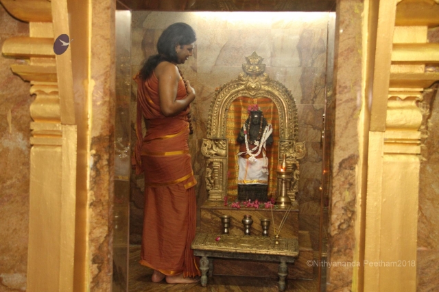 Batch IMG 2319-Photo-20120630-SSJP.jpg