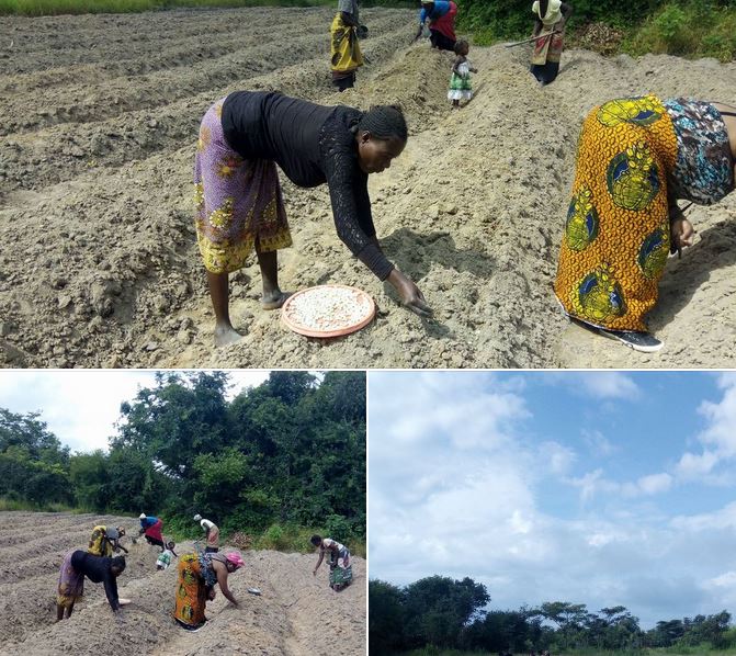 File:20240130 1034 421865588 FB.jpg