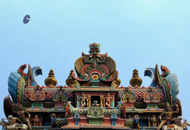 Batch Madurai 76-Photo-20120529-SSJP.jpg