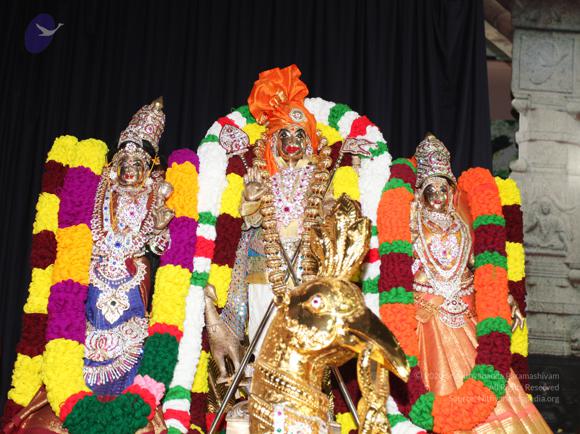 20101123 Photo 1003 1bllgpndlkzzGOUIyZVgqpZJv0rSAXLoR.JPG