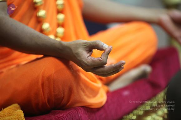 20101125 Photo 1039 1EiSrtAcLz-9bnXRkjlxmly0eimouYPBI.JPG