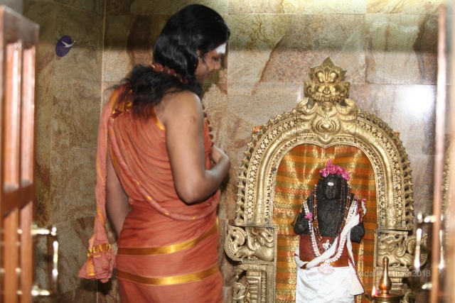 Batch IMG 1588-Photo-20120625-SSJP.jpg