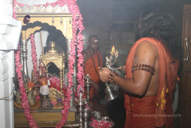 Batch IMG 3444-Photo-20120601-SSJP.jpg