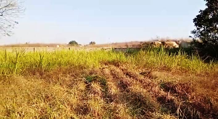 WhatsApp Image 2022-01-06 at 17.56.26 (5).jpeg