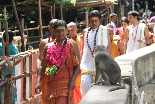 Batch IMG 9422-Photo-20120820-SSJP.jpg