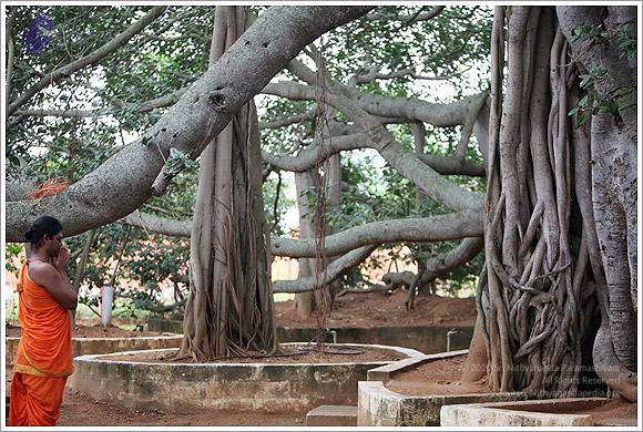 20110919 Photo 1001 1aLdIhezZ0fgGrCMkenQMrqvaEGTgW9uq.JPG