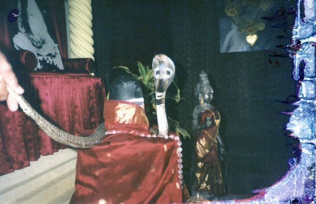 2001 - Tiruchengode Snake and Linga2.jpg
