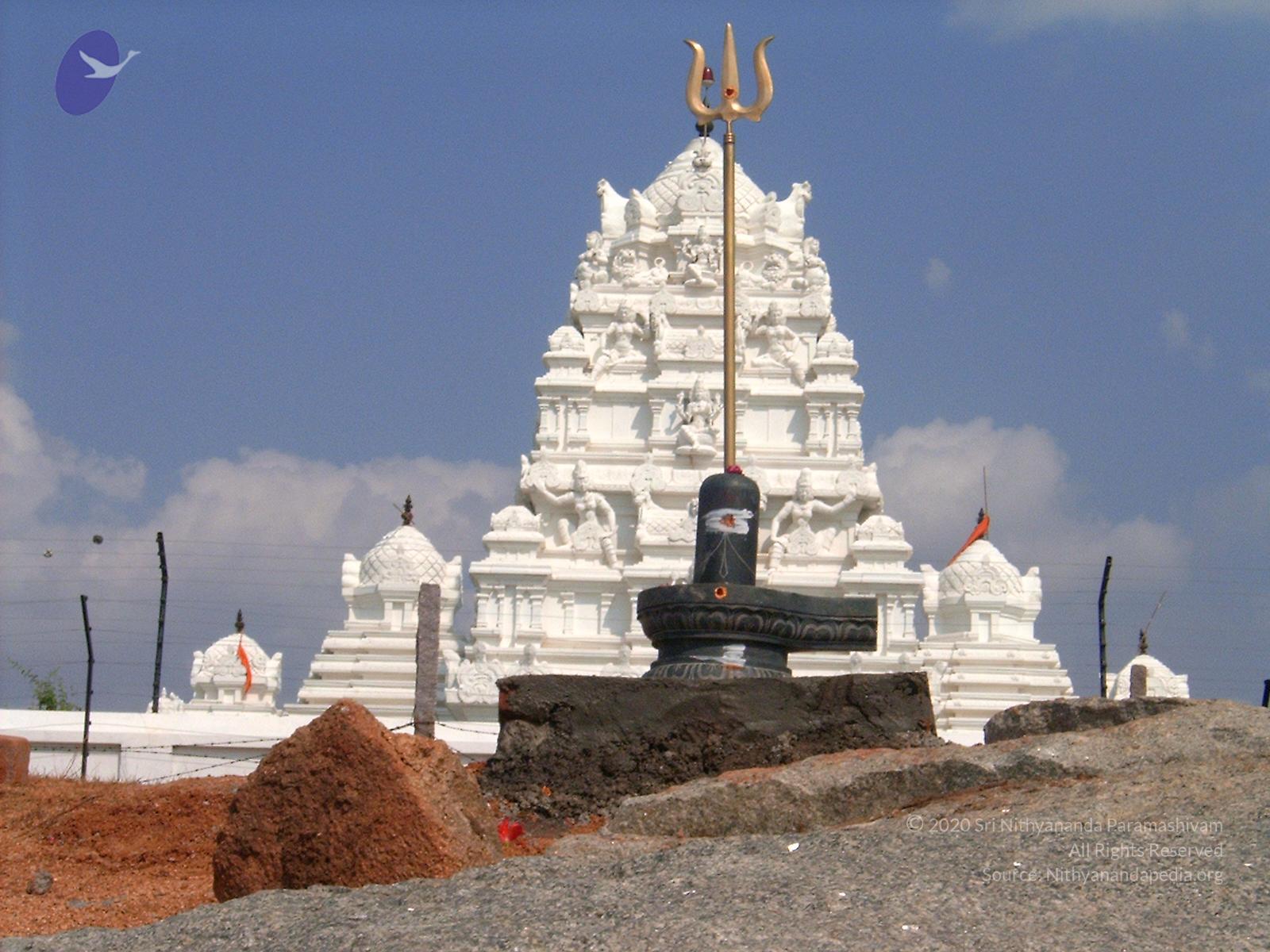 Templeview CMP WM.jpg