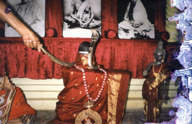 2001 - Tiruchengode Snake and Linga8.jpg