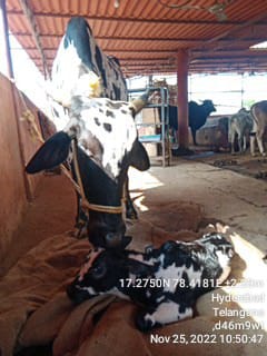 WhatsApp Image 2022-11-25 at 10.51.26.jpeg