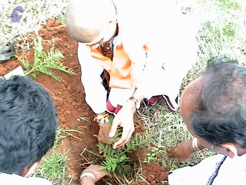 20070917 Photo 1013 1XlpDuA8lxD7UqfFXo3D8hgpT0vpQB2p3.JPG