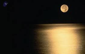 20110301 Photo 1008 1W4BiN88-NcvcqdVVvu10R9UO6jwWsLrG.JPG