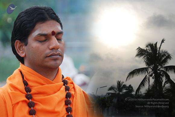 File:2010 PhotoAlbum Photo 564 1UFiWufBm326qTJaYe2Q6n4o BynElTku.jpg