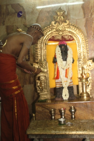 File:Batch IMG 9989-Photo-20120513-SSJP.jpg