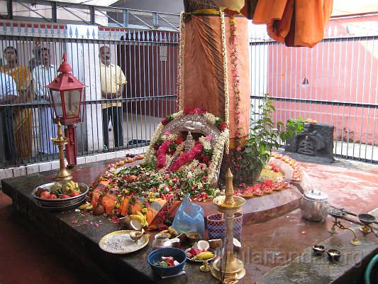 File:20200103 Photo 9 1l3hlLagKgk3s8WR A5MAUNYAU7GaYImu.jpg