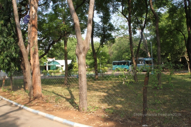 Batch IMG 1234-Photo-20120515-SSJP.jpg