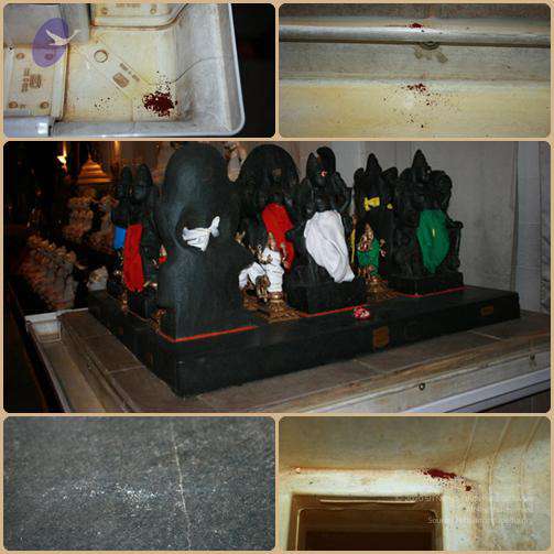 File:2011 eNMiracles Photo 547 1p6ofNR8j3FF9jGN56BQCI922I1vwNi0c.jpg