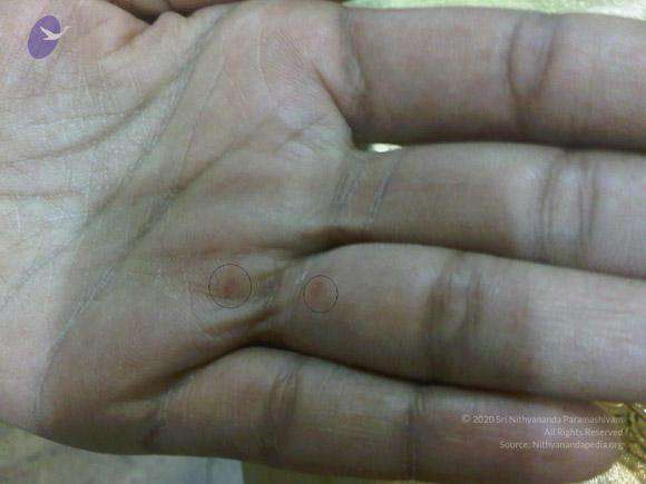 2011 eNMiracles Photo 398 14cIURPQnpcIZT K0lpwjP JihhYBTkrN.jpg