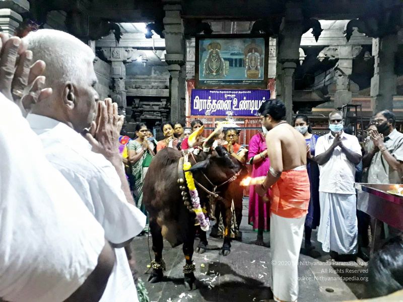 File:1-20211227 2-20211228 jayanthi temple 4.06.09 PM 11 11.jpg