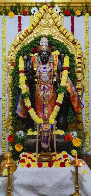 11WhatsApp Image 2023-01-01 at 23.59.43.jpeg