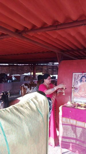 12 Image 2021-12-29 at 08.05.22.jpeg