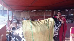 13 Image 2021-12-29 at 08.06.11.jpeg