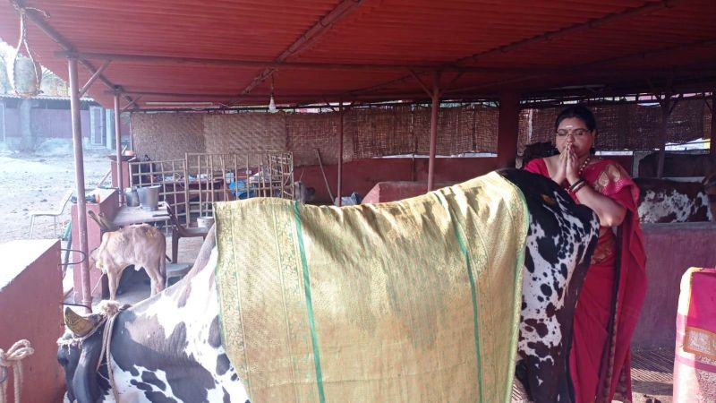 File:13 Image 2021-12-29 at 08.06.11.jpeg