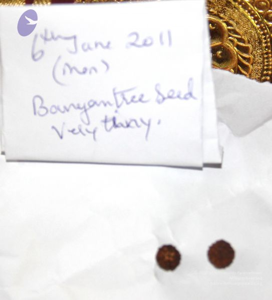 File:14 051 20110606 WM.jpg