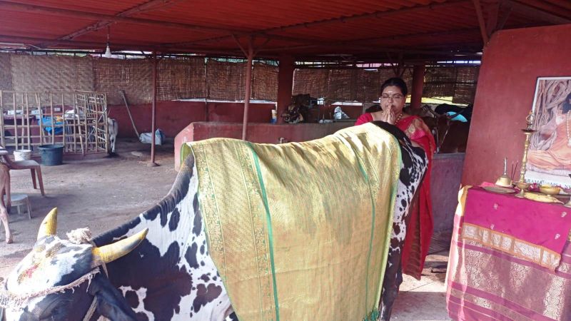 File:14 Image 2021-12-29 at 08.06.30.jpeg