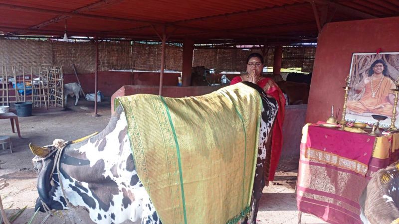 File:15 Image 2021-12-29 at 08.06.52.jpeg