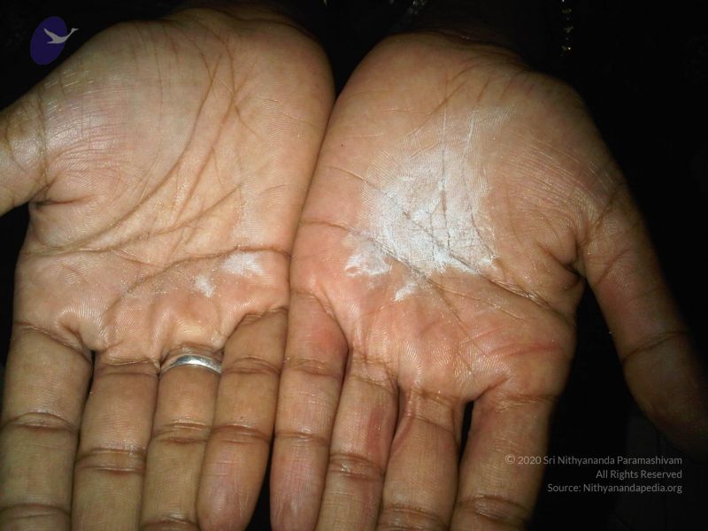 File:17 IMG00117-20110606-1144 20110606 WM.jpg