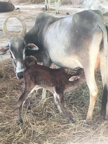 File:186494983 1955689511263045 6754167087456305515 n.jpeg