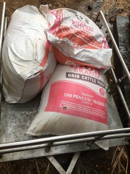 File:189139031 1960462984119031 6241402394147686030 n.jpeg