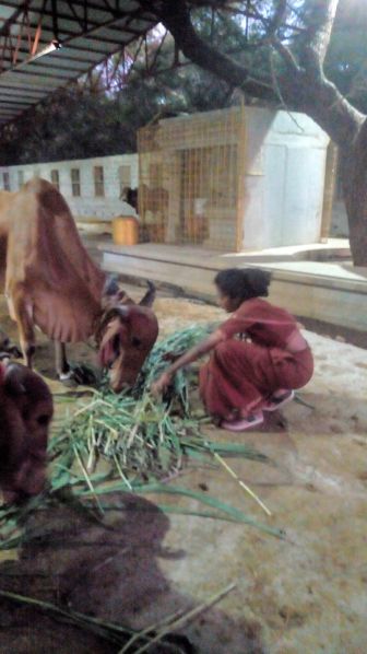 File:189731452 1962066993958630 3228588841516108106 n.jpeg