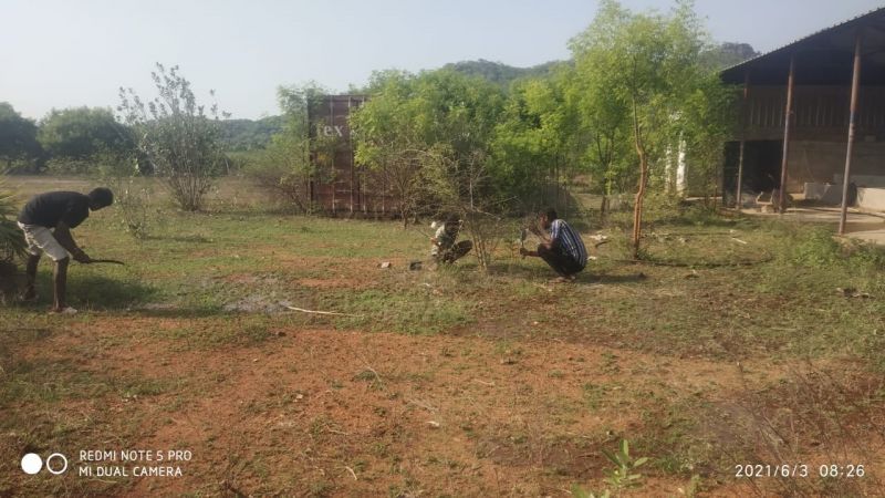 189793403 1958737490958247 2764825046416757783 n.jpeg