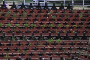 18 MG 1220 20110606 WM.jpg