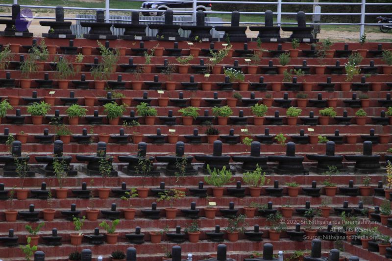 File:18 MG 1220 20110606 WM.jpg