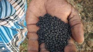 192670433 1961673447331318 5689892683731022232 n.jpeg