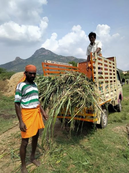 File:194272926 1960462684119061 5179789274586410741 n.jpeg