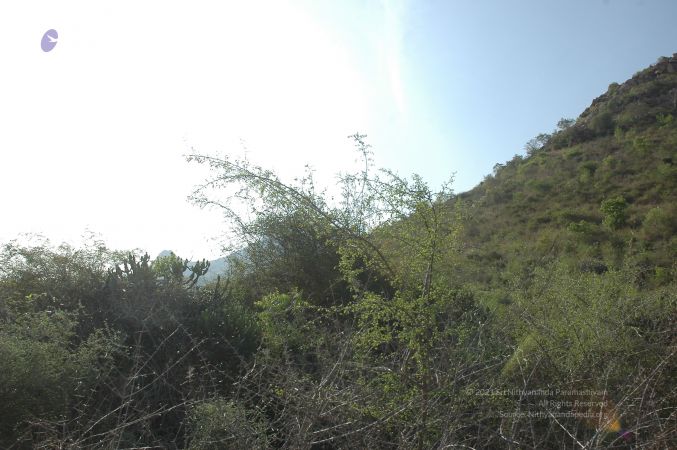 19780101 Inner Girivala Tiruvannamalai 10May2007 103-102.jpg