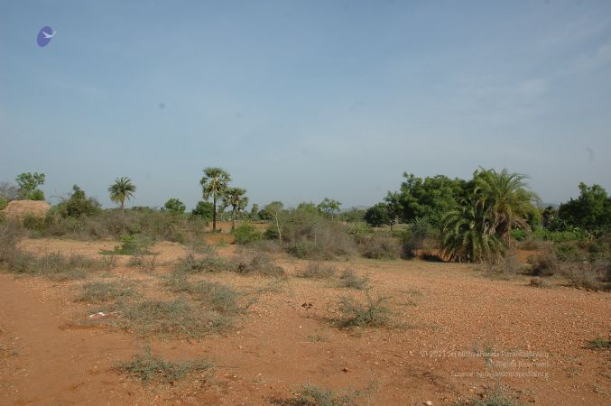 19780101 Inner Girivala Tiruvannamalai 10May2007 124-123.jpg
