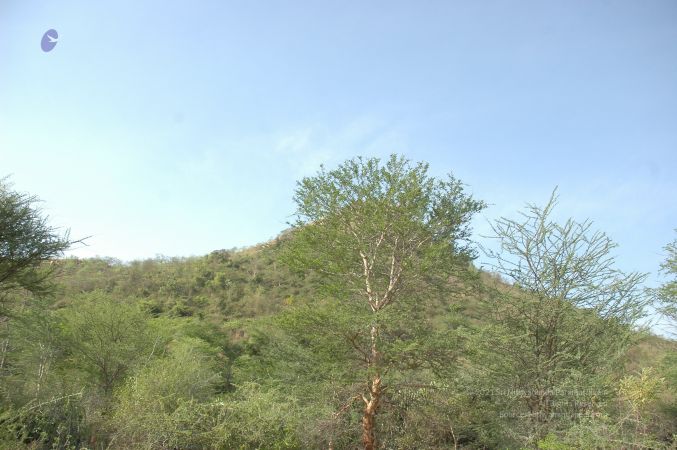 19780101 Inner Girivala Tiruvannamalai 10May2007 154-153.jpg