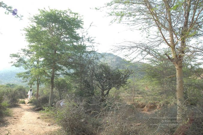 19780101 Inner Girivala Tiruvannamalai 10May2007 174-173.jpg