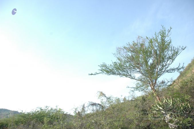 19780101 Inner Girivala Tiruvannamalai 10May2007 186-185.jpg