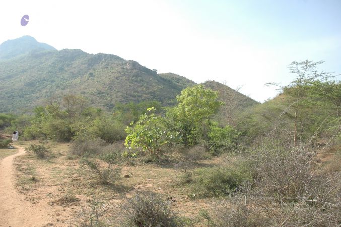 19780101 Inner Girivala Tiruvannamalai 10May2007 201-200.jpg