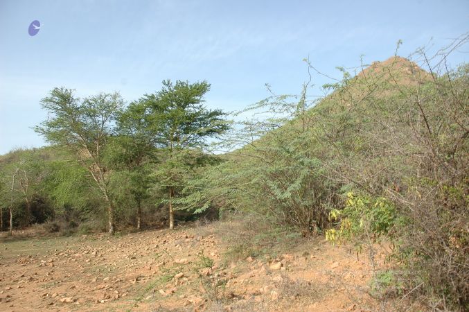 19780101 Inner Girivala Tiruvannamalai 10May2007 216-215.jpg