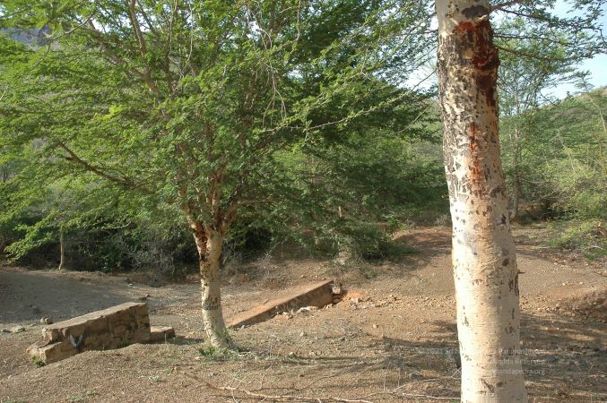 19780101 Inner Girivala Tiruvannamalai 10May2007 248-247.jpg