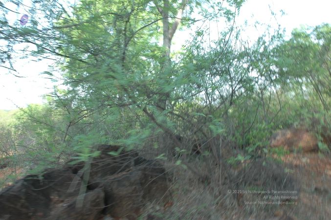 19780101 Inner Girivala Tiruvannamalai 10May2007 25-24.jpg